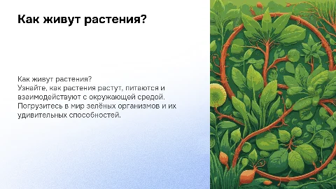 Презентация для начальных классов: Как живут растения?
