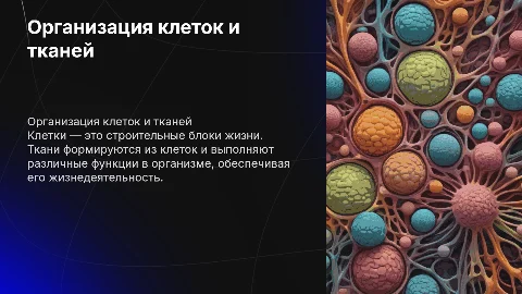 Органы и строение клеток, виды и строения тканей