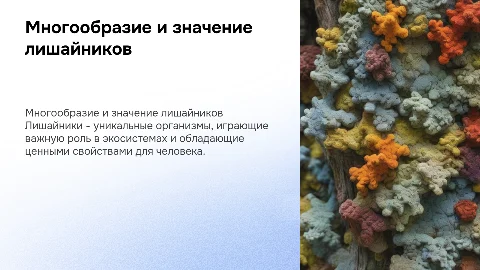 Многообразие лишайников и их значение в природе