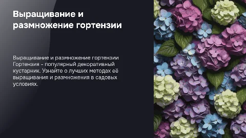 Особенности выращивания и размножения садовой гортензии