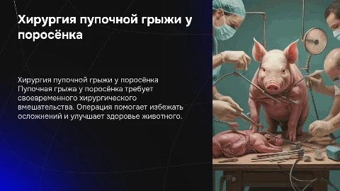 Хирургическое лечение пупочной грыжи у поросёнка
