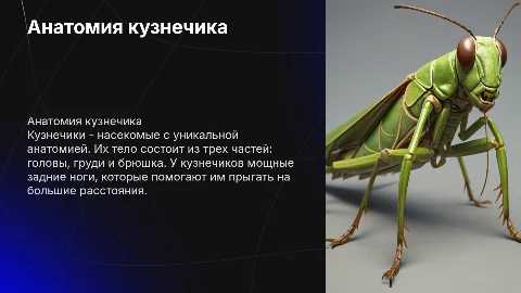 строение кузнечика