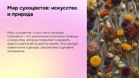 сухоцветы