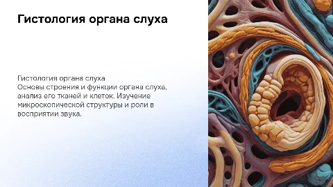 по гистология тема орган слуха