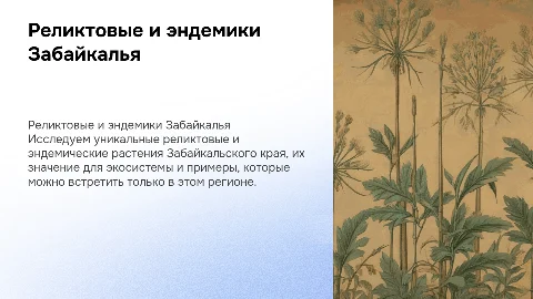 Реликтовые и эндемические растения Забайкалья