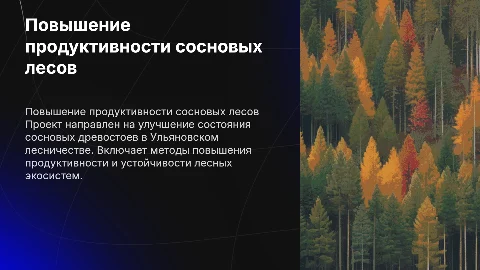 Проект мероприятий по повышению продуктивности сосновых лесов
