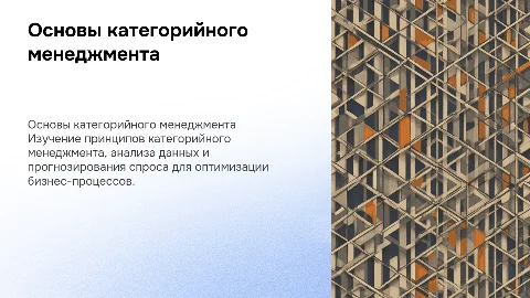 Основы категорийного менеджмента и прогнозирования спроса