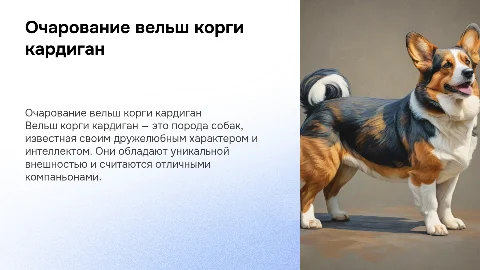 вельш корги кардиган