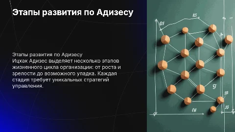 Этапы развития организации по И. Адизесу
