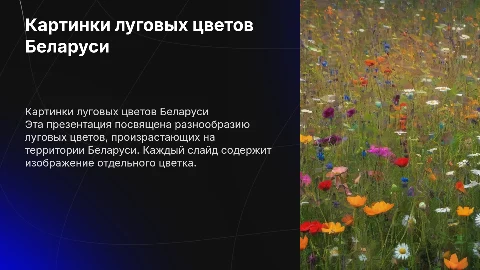 Картинки луговых цветов Беларуси: презентация с изображениями