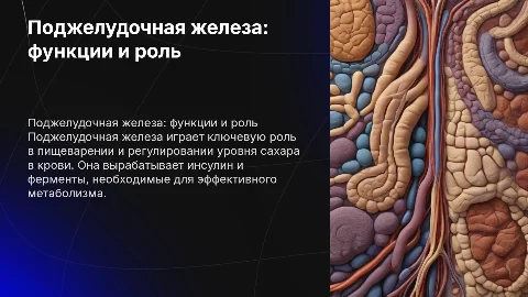 Поджелудочная железа