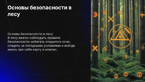 Безопасность в лесу