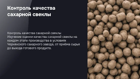 Оценка качества сахарной свеклы на Чернянском заводе