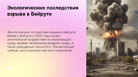 Экологические последствия взрыва в Бейруте 2020 года
