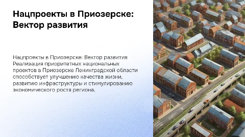 Реализация приоритетных национальных проектов в Приозерске