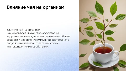 Влияние чая на организм человека