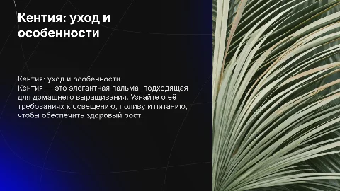 кентия, общие сведения и уход