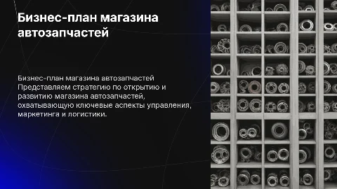 бизнес план, магазин автозапчастей, авто 24
