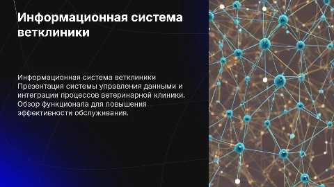 Презентация для информационной системы ветеринарной клиники