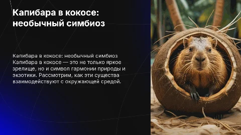 капибара в кокосе