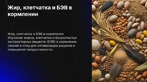 Жир, клетчатка,БЭВ в кормление свиней и птиц