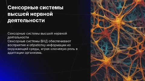 сенсорные системы ВНД