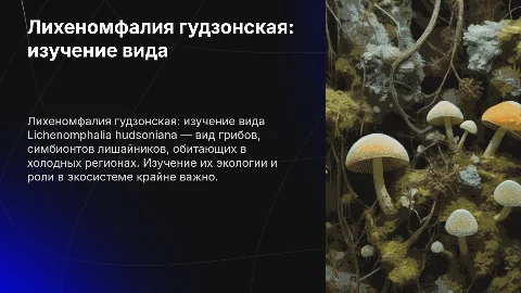 Лихеномфалия гудзонская: изучение уникального гриба