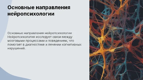 Основные направления нейропсихологии
