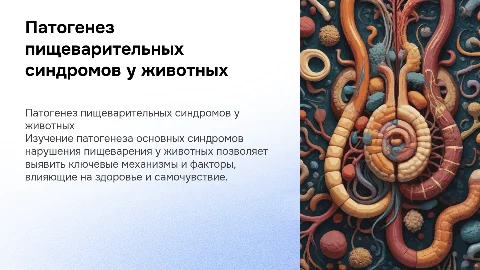 Патогенез основных синдромов нарушения пищеварения животных