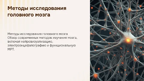 Методы исследования головного мозга