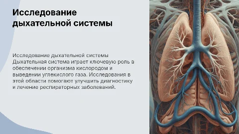 исследование дыхательной системы