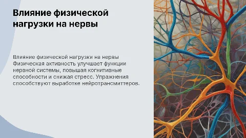 как физическая нагрузка влияет на нервную систему