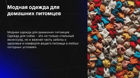 Одежда для домашних животных, одежда для собак