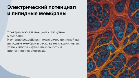 Влияние электрического потенциала на устойчивость мембран