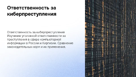 Уголовная ответственность за киберпреступления в РФ и КР