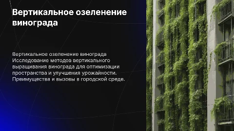 Вертикальное озеленение винограда