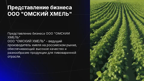 представление бизнеса ООО "ОМСКИЙ ХМЕЛЬ"