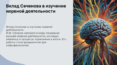 Вклад И.М. Сеченова в изучение высшей нервной деятельности