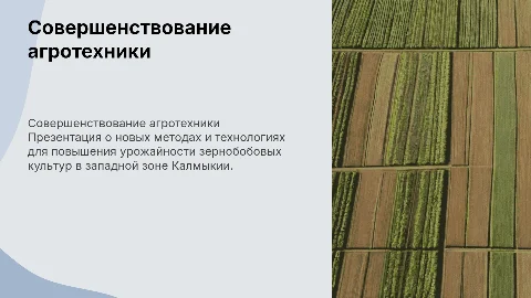 Совершенствование агротехники зернобобовых в Калмыкии
