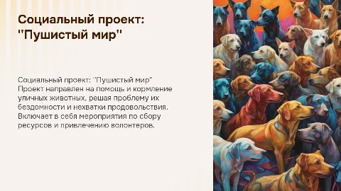 Социальный проект "Пушистый мир" для уличных животных