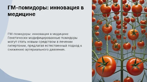 Генетически модифицированные помидоры для лечения гипертонии