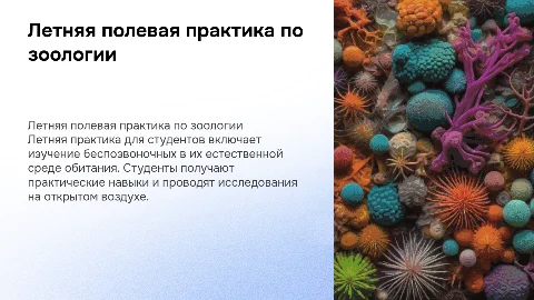 летняя полевая практика для студентов по зоологии беспозвоночных