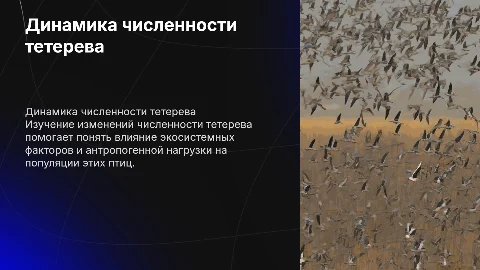 ДИНАМИКА чИСЛЕННОСТИ ТЕТЕРЕВА