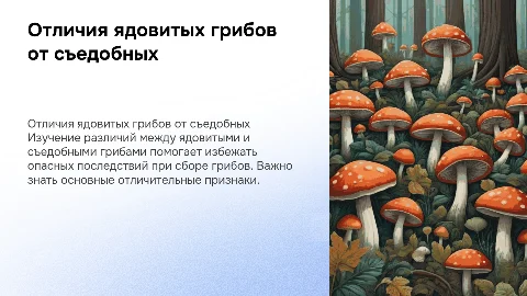 различия ядовитых грибов от не ядовитых