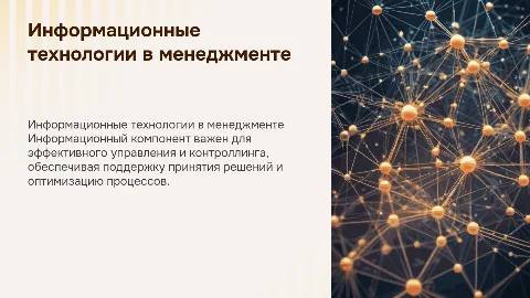 Информационный компонент менеджмента и контроллинга