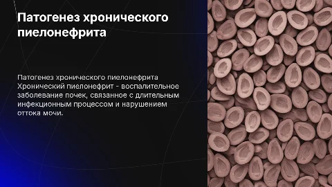 патогенез хронического пиелонефрита