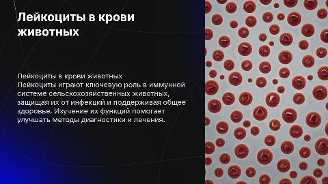 презентация по лейкоцитам в крови у сельскохозяйственных животных