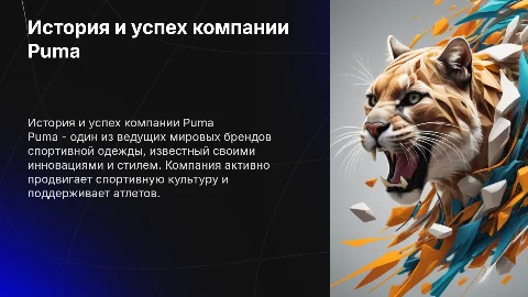 Компания puma