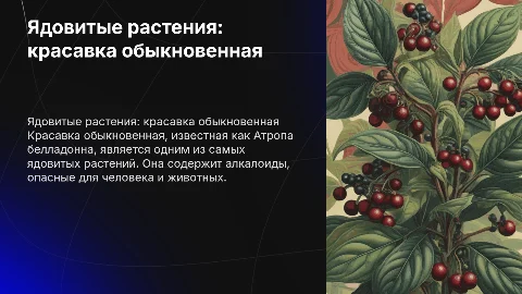 ядовитые растения красавка обыкновенная на латинском