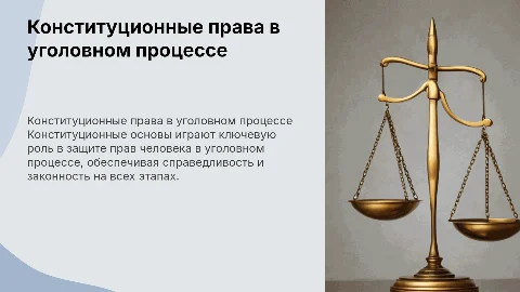 Конституционные основы прав человека в уголовном процессе